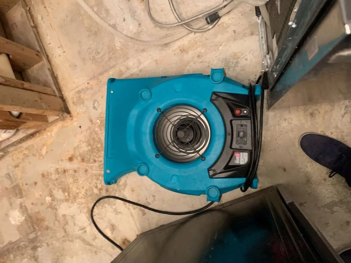 Air mover drying equipment for Mold Remediation & Removal in Seal Beach